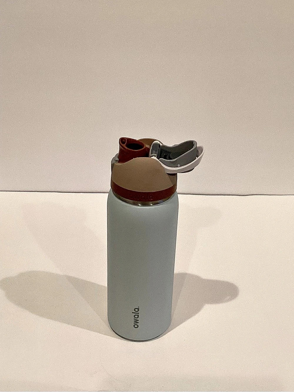 Owala FreeSip Stainless Steel Water Bottle 32 oz Gray & Brown